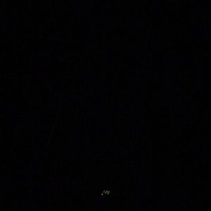 Meet your Posher, Florence